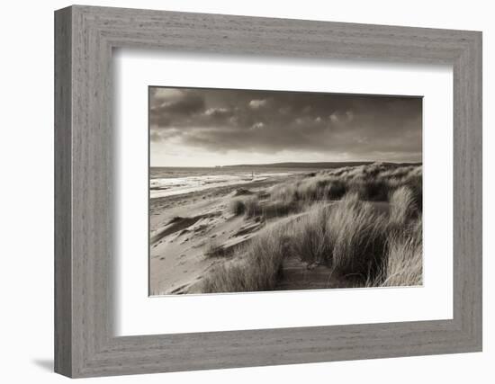 Windswept Sand Dunes on the Beach at Studland Bay, with Views Towards Old Harry Rocks, Dorset-Adam Burton-Framed Photographic Print