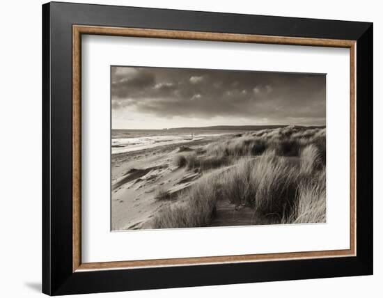 Windswept Sand Dunes on the Beach at Studland Bay, with Views Towards Old Harry Rocks, Dorset-Adam Burton-Framed Photographic Print