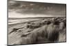 Windswept Sand Dunes on the Beach at Studland Bay, with Views Towards Old Harry Rocks, Dorset-Adam Burton-Mounted Photographic Print