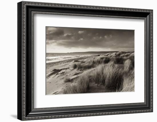 Windswept Sand Dunes on the Beach at Studland Bay, with Views Towards Old Harry Rocks, Dorset-Adam Burton-Framed Photographic Print