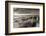 Windswept Sand Dunes on the Beach at Studland Bay, with Views Towards Old Harry Rocks, Dorset-Adam Burton-Framed Photographic Print