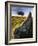 Windswept Tree with Rock in Foreground, Combestone Tor, Dartmoor, Devon, UK-Ross Hoddinott-Framed Photographic Print