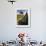 Windswept Tree with Rock in Foreground, Combestone Tor, Dartmoor, Devon, UK-Ross Hoddinott-Framed Photographic Print displayed on a wall