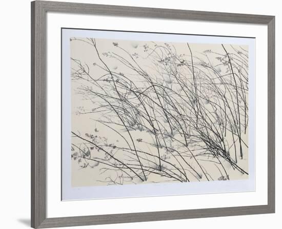 Windswept-Jon D'Orazio-Framed Collectable Print