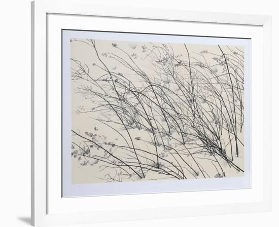 Windswept-Jon D'Orazio-Framed Collectable Print