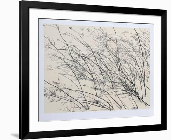 Windswept-Jon D'Orazio-Framed Collectable Print