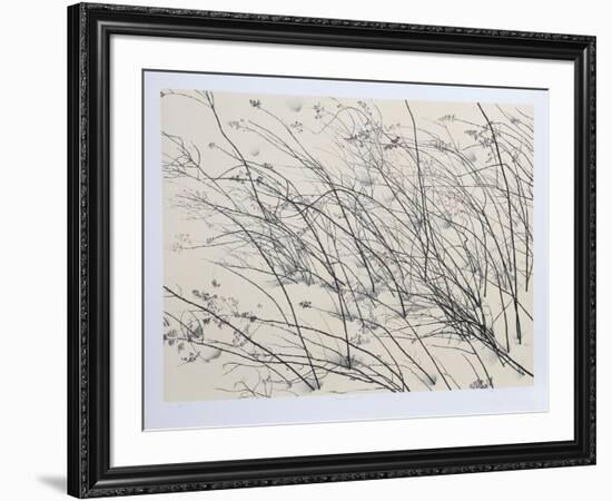 Windswept-Jon D'Orazio-Framed Collectable Print