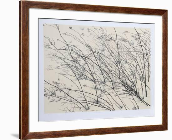 Windswept-Jon D'Orazio-Framed Collectable Print