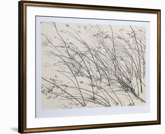 Windswept-Jon D'Orazio-Framed Collectable Print