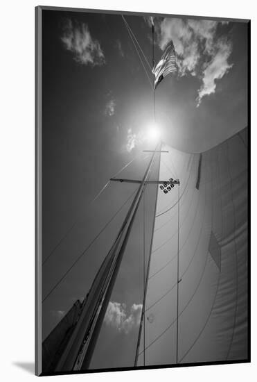 Windward B W-Steve Gadomski-Mounted Photographic Print