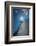 Windward-Steve Gadomski-Framed Photographic Print