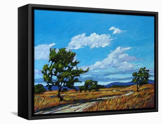 Windy Day In Colorado-Patty Baker-Framed Stretched Canvas