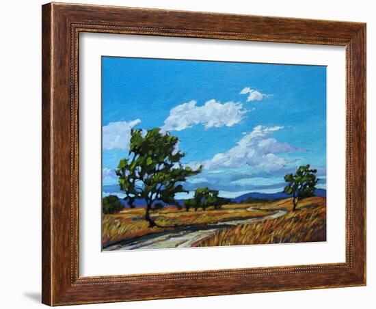 Windy Day In Colorado-Patty Baker-Framed Art Print