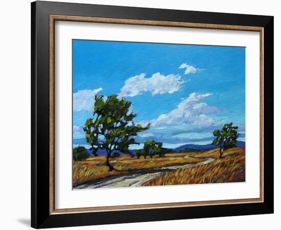 Windy Day In Colorado-Patty Baker-Framed Art Print