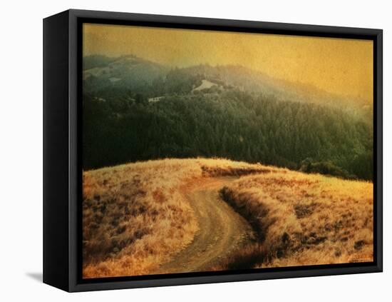 Windy Trail on Hill-Robert Cattan-Framed Premier Image Canvas