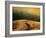 Windy Trail on Hill-Robert Cattan-Framed Photographic Print