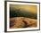 Windy Trail on Hill-Robert Cattan-Framed Photographic Print