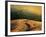 Windy Trail on Hill-Robert Cattan-Framed Photographic Print