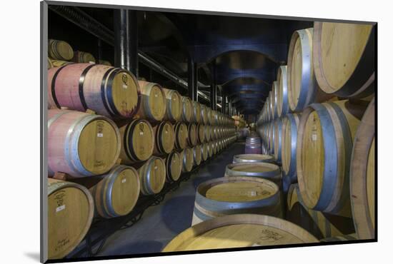 Wine Ageing in Oak Barrels in a Cellar at a Winery in the Alto Douro Region of Portugal, Europe-Alex Treadway-Mounted Photographic Print