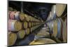 Wine Ageing in Oak Barrels in a Cellar at a Winery in the Alto Douro Region of Portugal, Europe-Alex Treadway-Mounted Photographic Print