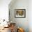 Wine and Cheese-Jennifer Garant-Framed Giclee Print displayed on a wall