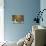 Wine and Cheese-Jennifer Garant-Mounted Giclee Print displayed on a wall