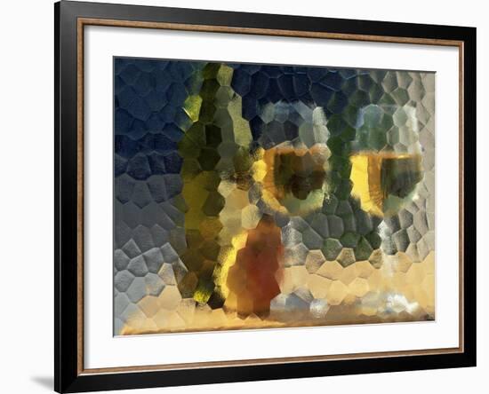 Wine and Glasses Behind Frosted Glass-Mitch Diamond-Framed Photographic Print