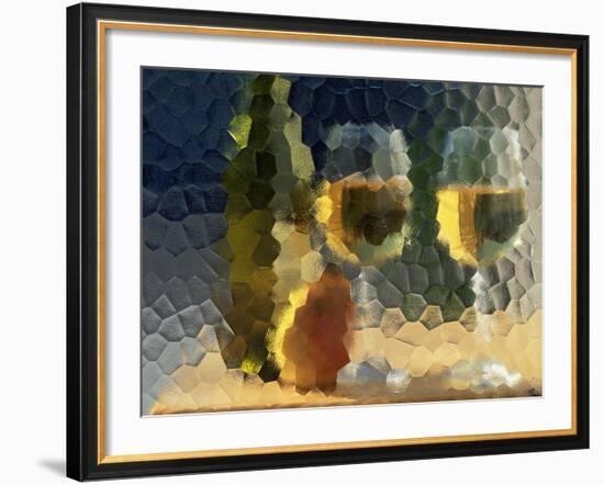 Wine and Glasses Behind Frosted Glass-Mitch Diamond-Framed Photographic Print