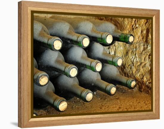 Wine at Quinta Do Casal Das Freiras. Tomar, Portugal-Mauricio Abreu-Framed Premier Image Canvas