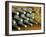 Wine at Quinta Do Casal Das Freiras. Tomar, Portugal-Mauricio Abreu-Framed Photographic Print