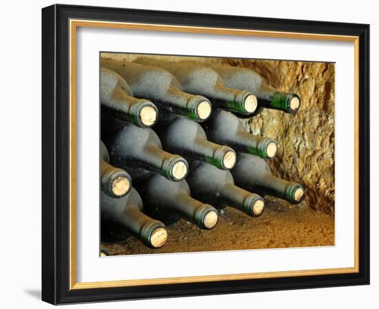 Wine at Quinta Do Casal Das Freiras. Tomar, Portugal-Mauricio Abreu-Framed Photographic Print