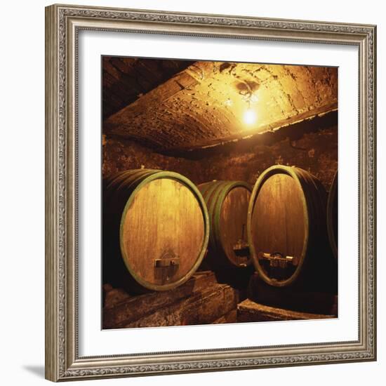 Wine Barrels of the Valdhuber Wine Estate, Svecina, Slovenia-Armin Faber-Framed Photographic Print
