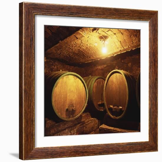 Wine Barrels of the Valdhuber Wine Estate, Svecina, Slovenia-Armin Faber-Framed Photographic Print