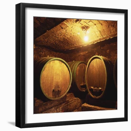 Wine Barrels of the Valdhuber Wine Estate, Svecina, Slovenia-Armin Faber-Framed Photographic Print