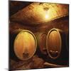 Wine Barrels of the Valdhuber Wine Estate, Svecina, Slovenia-Armin Faber-Mounted Photographic Print