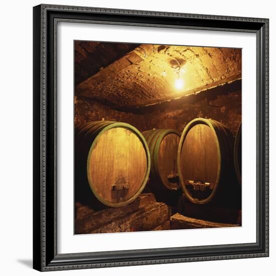 Wine Barrels of the Valdhuber Wine Estate, Svecina, Slovenia-Armin Faber-Framed Photographic Print