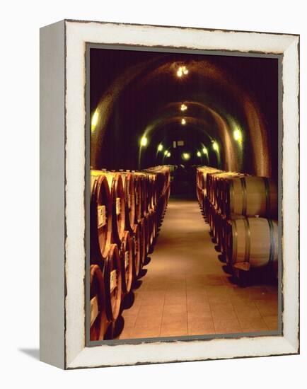 Wine Cave at the Pine Ridge Winery on the Silverado Trail, Napa Valley, California, USA-John Alves-Framed Premier Image Canvas