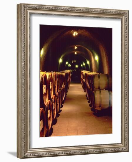 Wine Cave at the Pine Ridge Winery on the Silverado Trail, Napa Valley, California, USA-John Alves-Framed Photographic Print