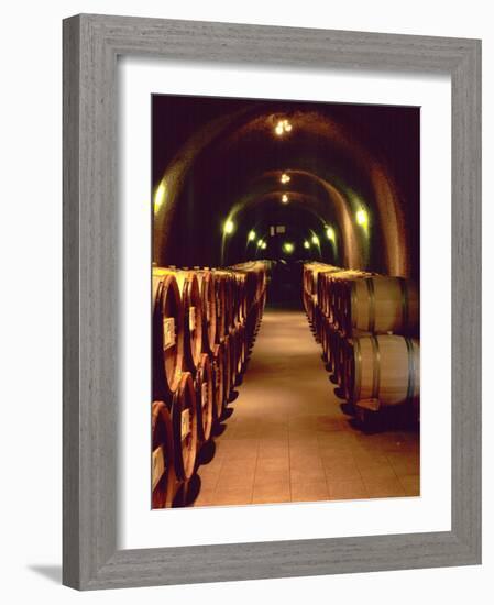 Wine Cave at the Pine Ridge Winery on the Silverado Trail, Napa Valley, California, USA-John Alves-Framed Photographic Print