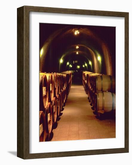 Wine Cave at the Pine Ridge Winery on the Silverado Trail, Napa Valley, California, USA-John Alves-Framed Photographic Print