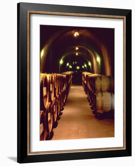 Wine Cave at the Pine Ridge Winery on the Silverado Trail, Napa Valley, California, USA-John Alves-Framed Photographic Print