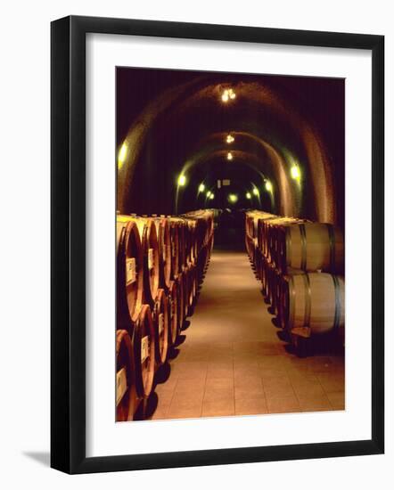 Wine Cave at the Pine Ridge Winery on the Silverado Trail, Napa Valley, California, USA-John Alves-Framed Photographic Print