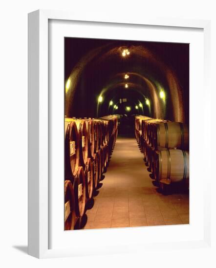 Wine Cave at the Pine Ridge Winery on the Silverado Trail, Napa Valley, California, USA-John Alves-Framed Photographic Print