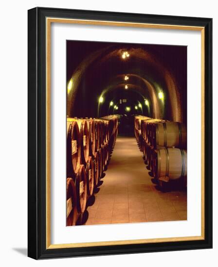 Wine Cave at the Pine Ridge Winery on the Silverado Trail, Napa Valley, California, USA-John Alves-Framed Photographic Print