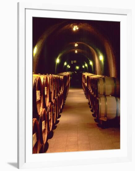 Wine Cave at the Pine Ridge Winery on the Silverado Trail, Napa Valley, California, USA-John Alves-Framed Photographic Print