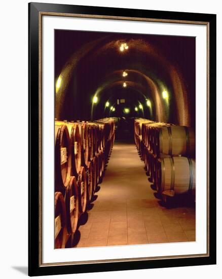 Wine Cave at the Pine Ridge Winery on the Silverado Trail, Napa Valley, California, USA-John Alves-Framed Photographic Print