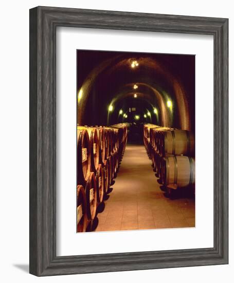 Wine Cave at the Pine Ridge Winery on the Silverado Trail, Napa Valley, California, USA-John Alves-Framed Photographic Print