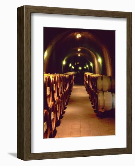 Wine Cave at the Pine Ridge Winery on the Silverado Trail, Napa Valley, California, USA-John Alves-Framed Photographic Print
