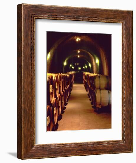 Wine Cave at the Pine Ridge Winery on the Silverado Trail, Napa Valley, California, USA-John Alves-Framed Photographic Print