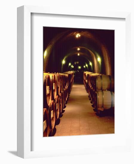 Wine Cave at the Pine Ridge Winery on the Silverado Trail, Napa Valley, California, USA-John Alves-Framed Photographic Print